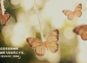 雷火电竞网站-另一场足球战争，当德甲捍卫灵魂时，巴黎正在书写资本新序章