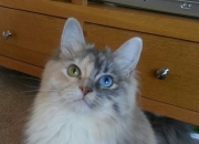 雷火电竞网站-我为你构思了几个不同角度的标题，以及一篇完整的文章