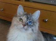 雷火电竞网站-我为你构思了几个不同角度的标题，以及一篇完整的文章