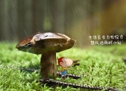 雷火电竞简介-唯一的主角，当贝林厄姆在瑞典vs法国的剧本中写下自己的名字