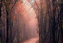 雷火电竞在线-拜仁封神夜！数据铁幕锁死姆巴佩，欧冠登顶的终极密码