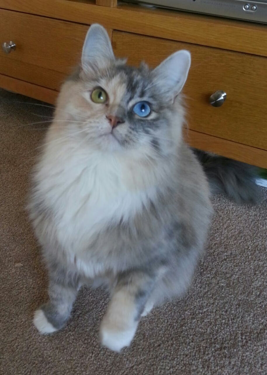 我为你构思了几个不同角度的标题，以及一篇完整的文章