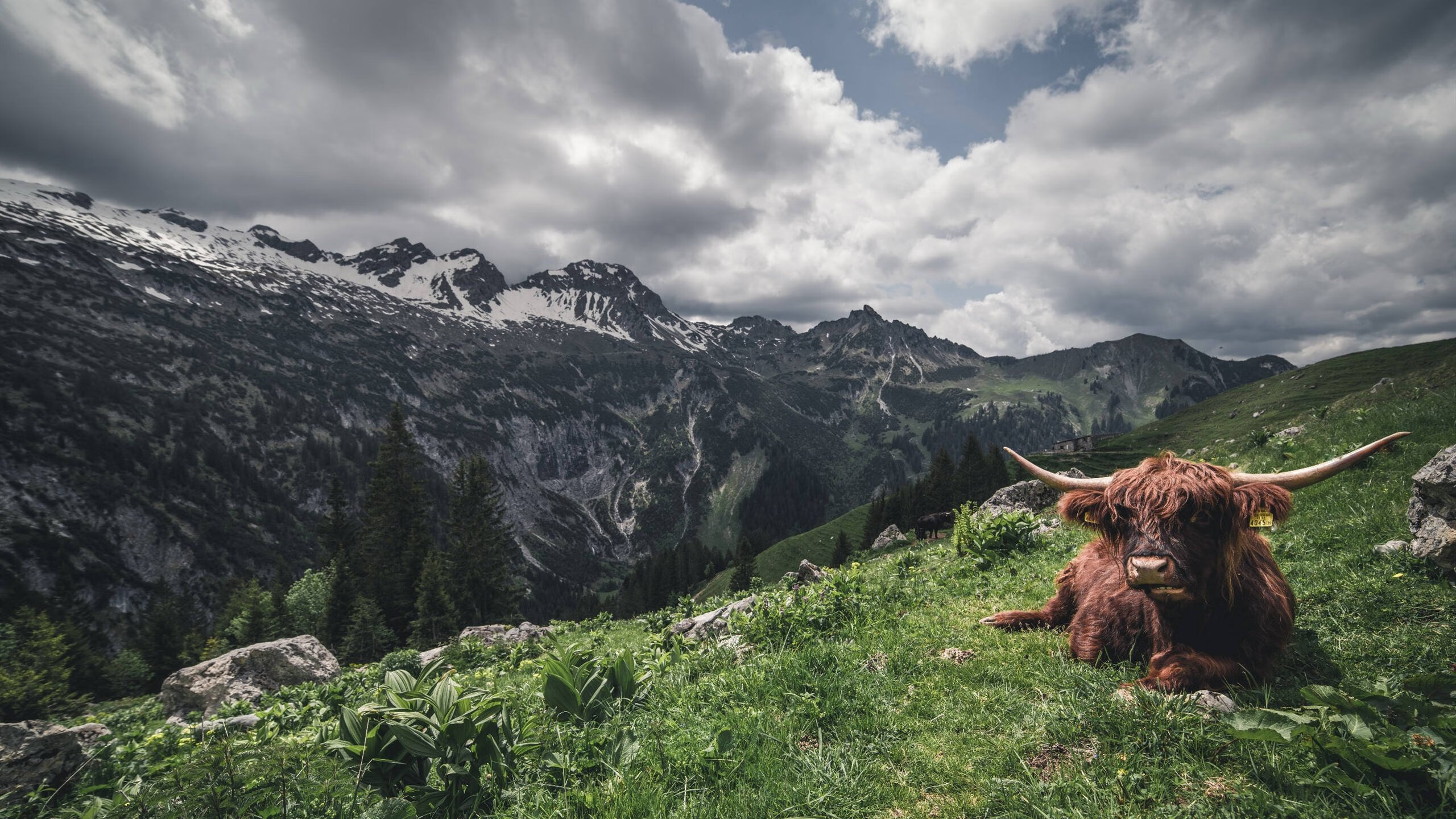 惊世一笔，萨卡如何为欧联史诗补上最后一抹黄金