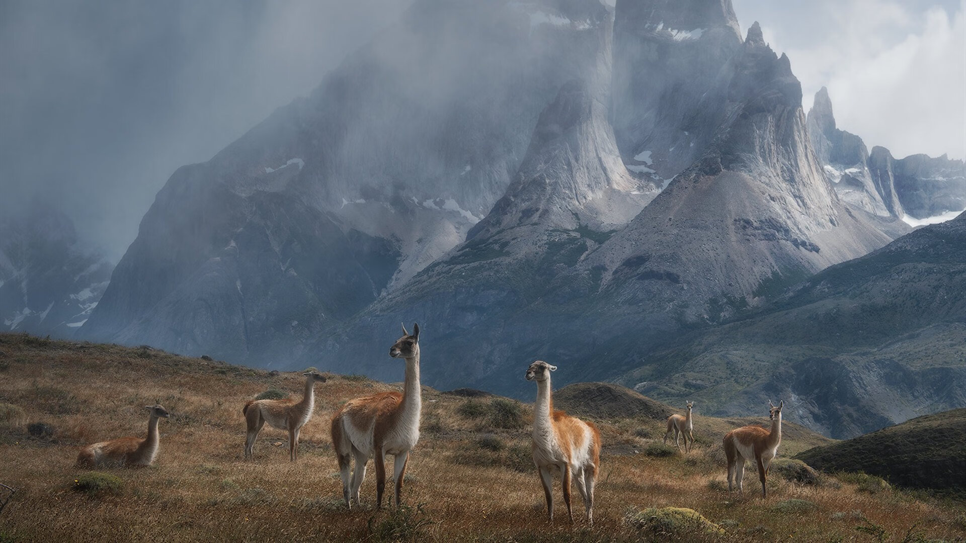 当东方铁壁遭遇盐湖城风暴，福克斯用撕裂黑夜的表现宣告我可以
